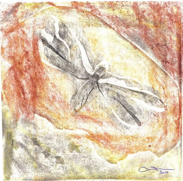 Libellule, 20x20 cm