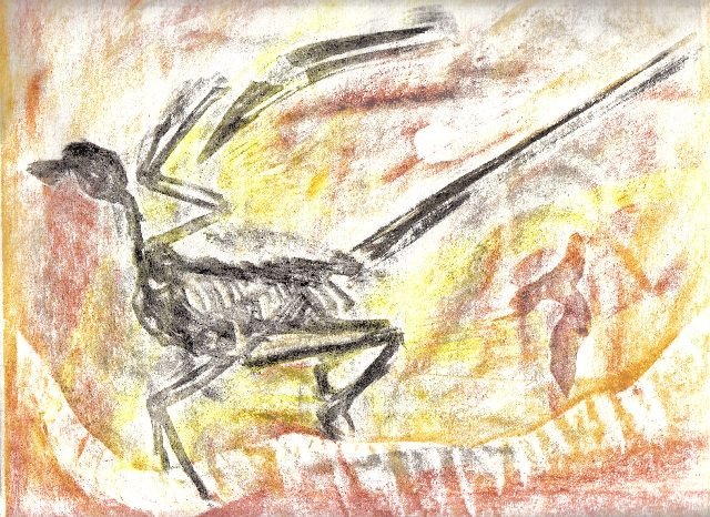 Microraptor, 30x30 cm